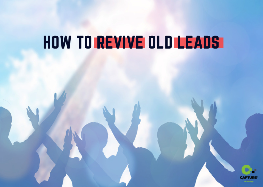 revive leads